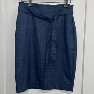 Banana Republic Pencil Skirt